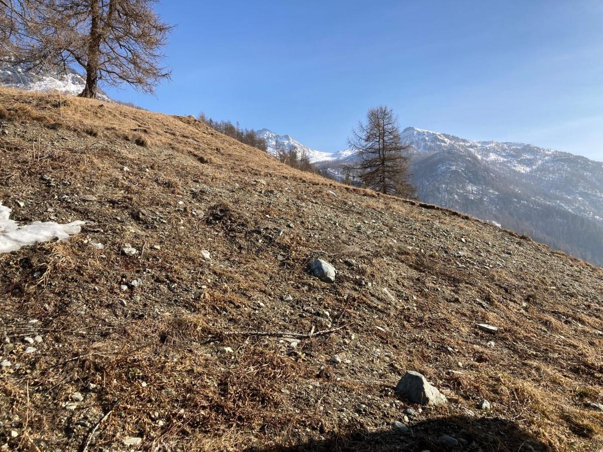 La Maison Du Cre Valtournenche Exteriér fotografie